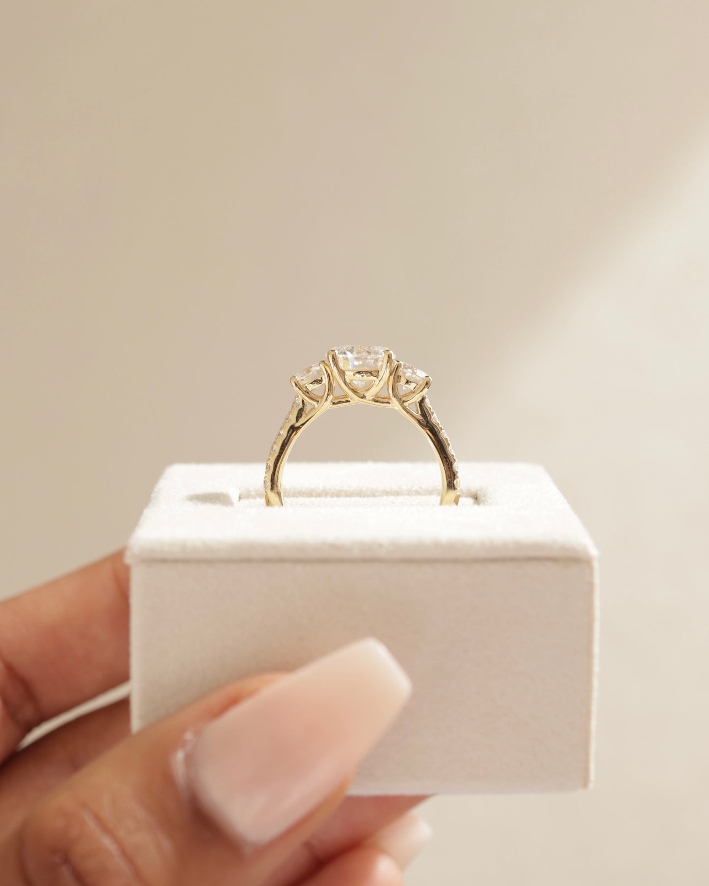 Ella - Round Claw Trilogy with Round Side Stones, Pave Band and Trellis Gallery Engagement Ring - Platinum - Lifestyle