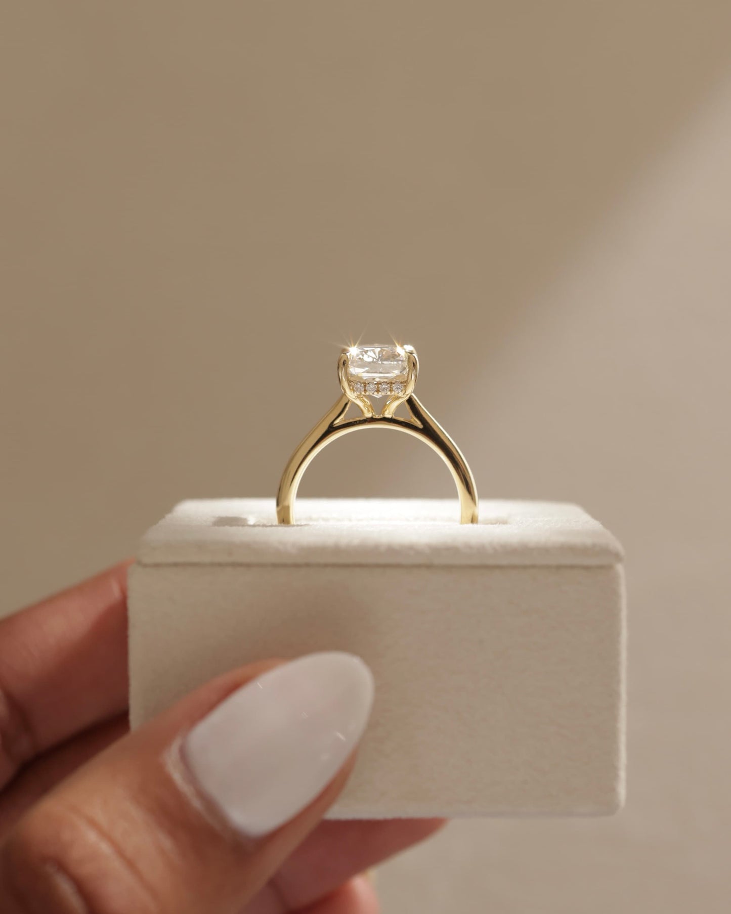 Wendy - Elongated Cushion Claw Solitaire with Hidden Halo, Tapered Band and Cathedral High Setting Engagement Ring - Platinum