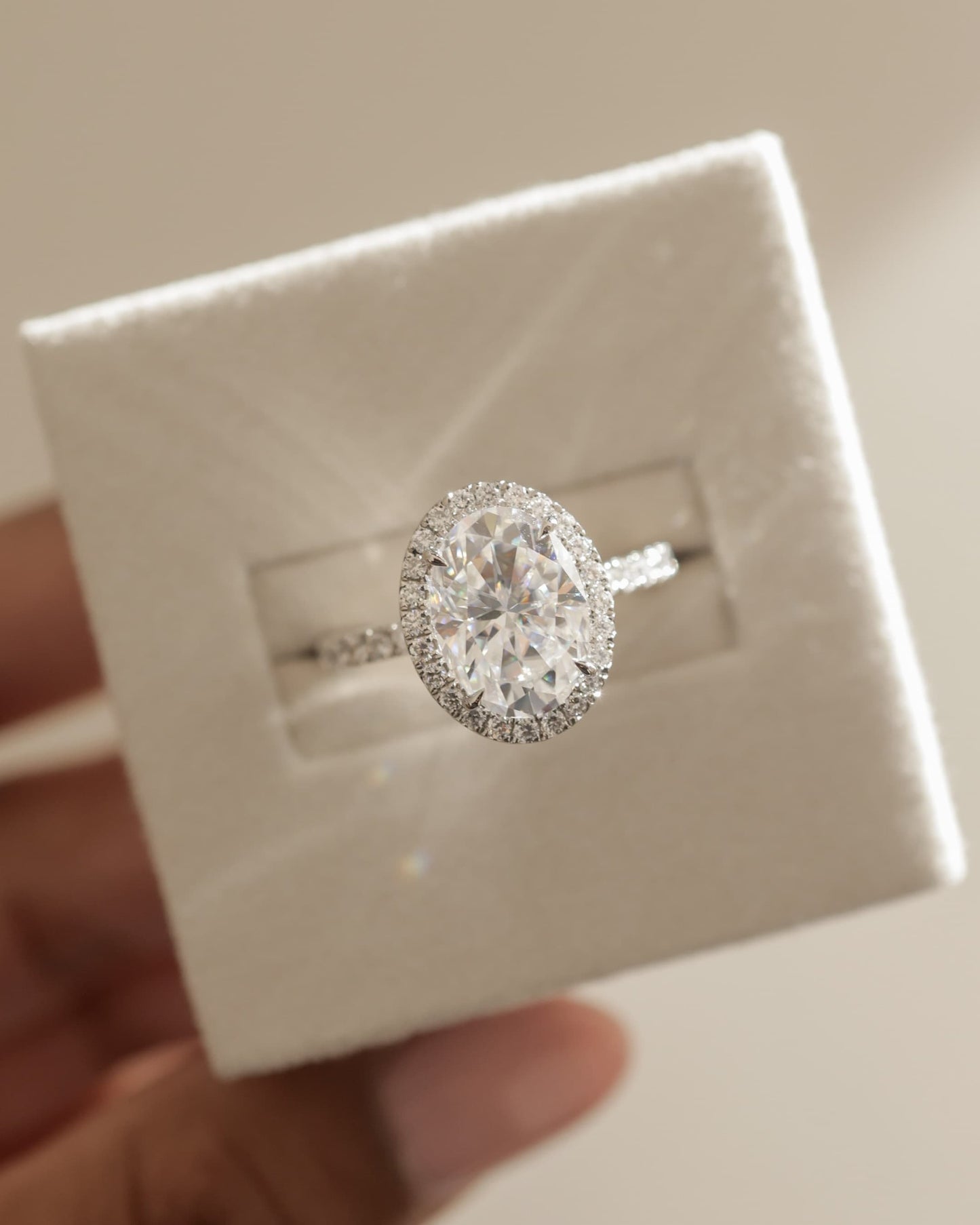 Aurora - Oval Claw Solitaire with Halo and Pave Band Engagement Ring - Rose Two-Tone