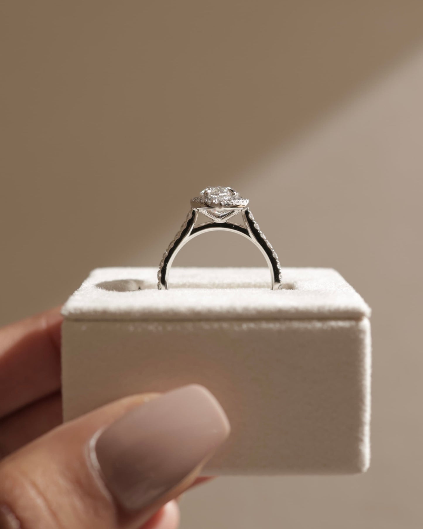 Stefania - Marquise Claw Solitaire with Halo and Pave Band and Cathedral High Setting Engagement Ring - Rose Gold