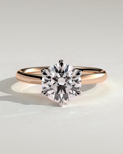 Daniela - Round Claw Solitaire with Solid Cathedral High Setting Engagement Ring - Rose Two-Tone
