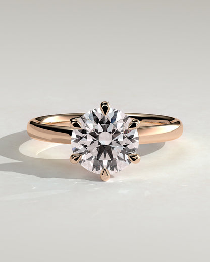 Daniela - Round Claw Solitaire with Solid Cathedral High Setting Engagement Ring - Rose Gold