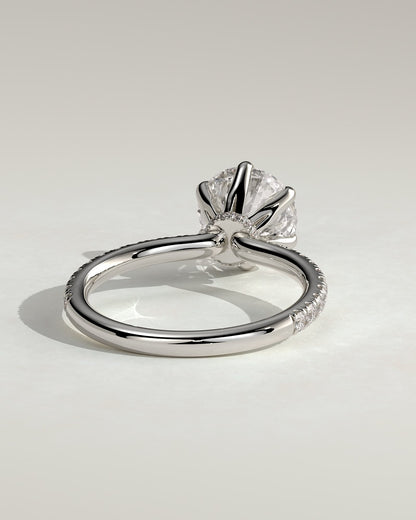 Holly - Round Claw Solitaire with Pave Band and Pave Collar Engagement Ring - White Gold