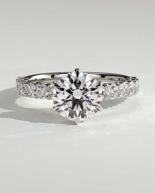 Quinn - Round Claw Solitaire with Half Eternity Band Engagement Ring - Platinum