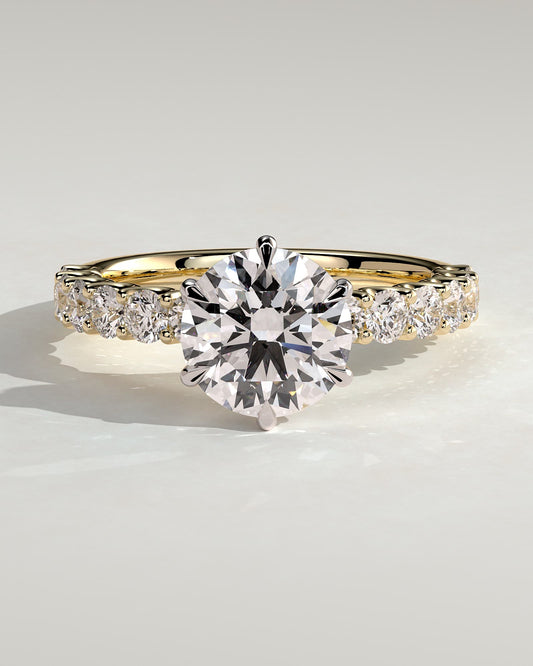 Quinn - Round Claw Solitaire with Half Eternity Band Engagement Ring - Yellow Two-Tone