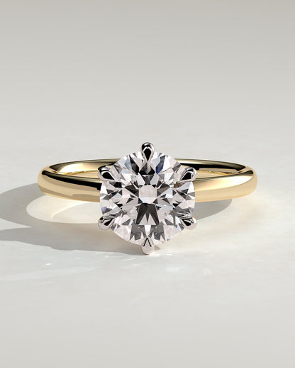 Daniela - Round Claw Solitaire with Solid Cathedral High Setting Engagement Ring - Yellow Two-Tone