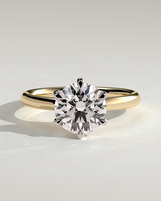 Daniela - Round Claw Solitaire with Solid Cathedral High Setting Engagement Ring - Yellow Two-Tone