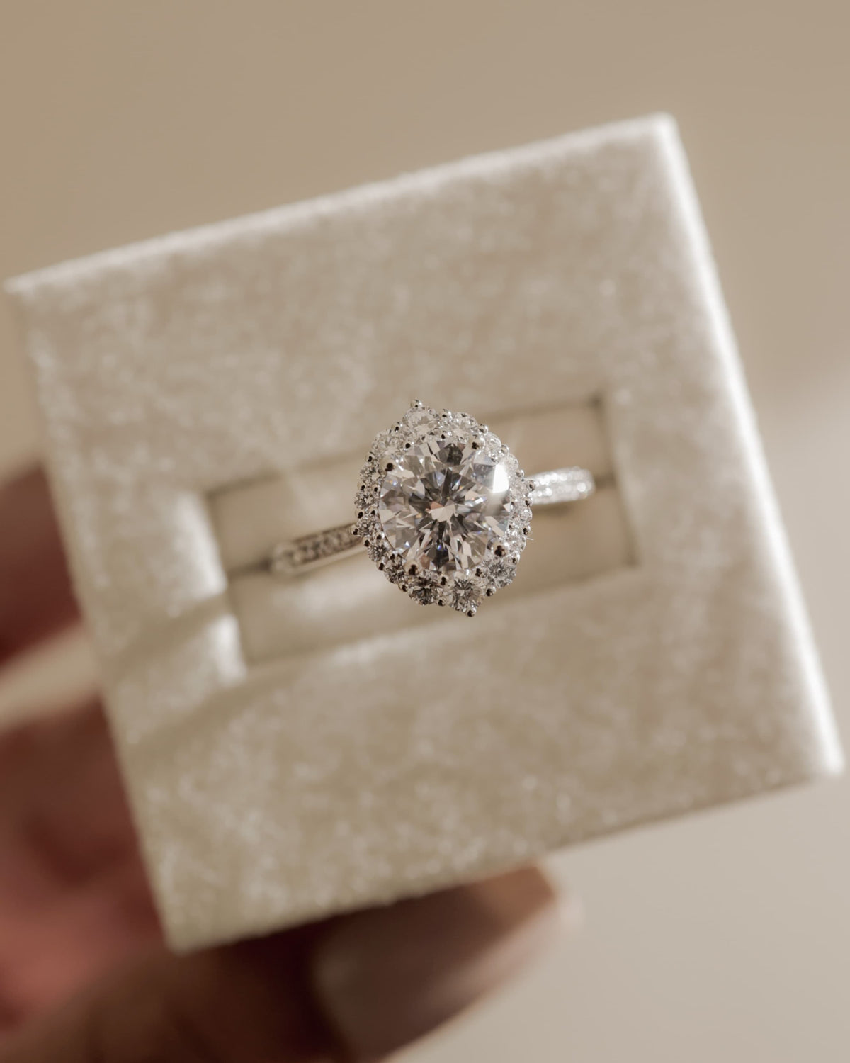 Jessica - Round Claw Solitaire with Graduating Halo and Bead Set Micropave and Tapered Band Engagement Ring - Yellow Gold