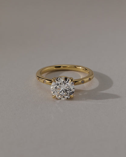 Nekija - Round Claw Solitaire with Inset Round Accent Stones Engagement Ring - Platinum