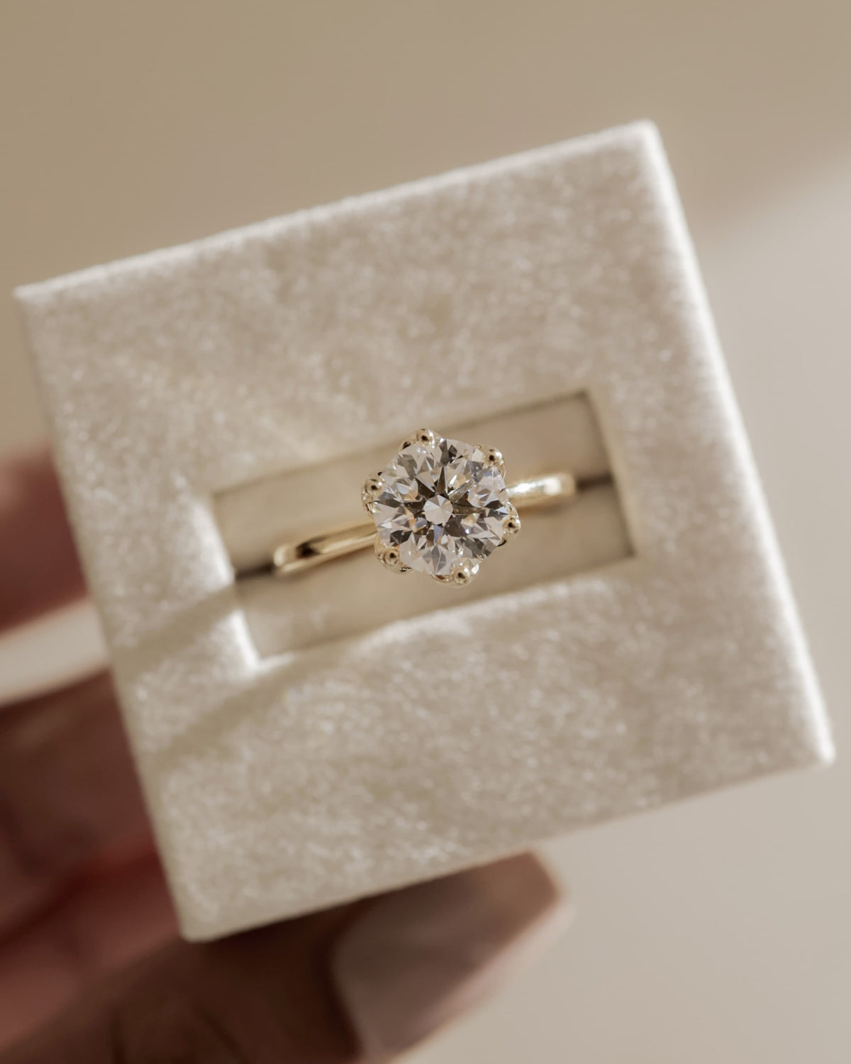Tessa - Round Claw Solitaire with Petal Gallery and Tapered Band Engagement Ring - Rose Gold