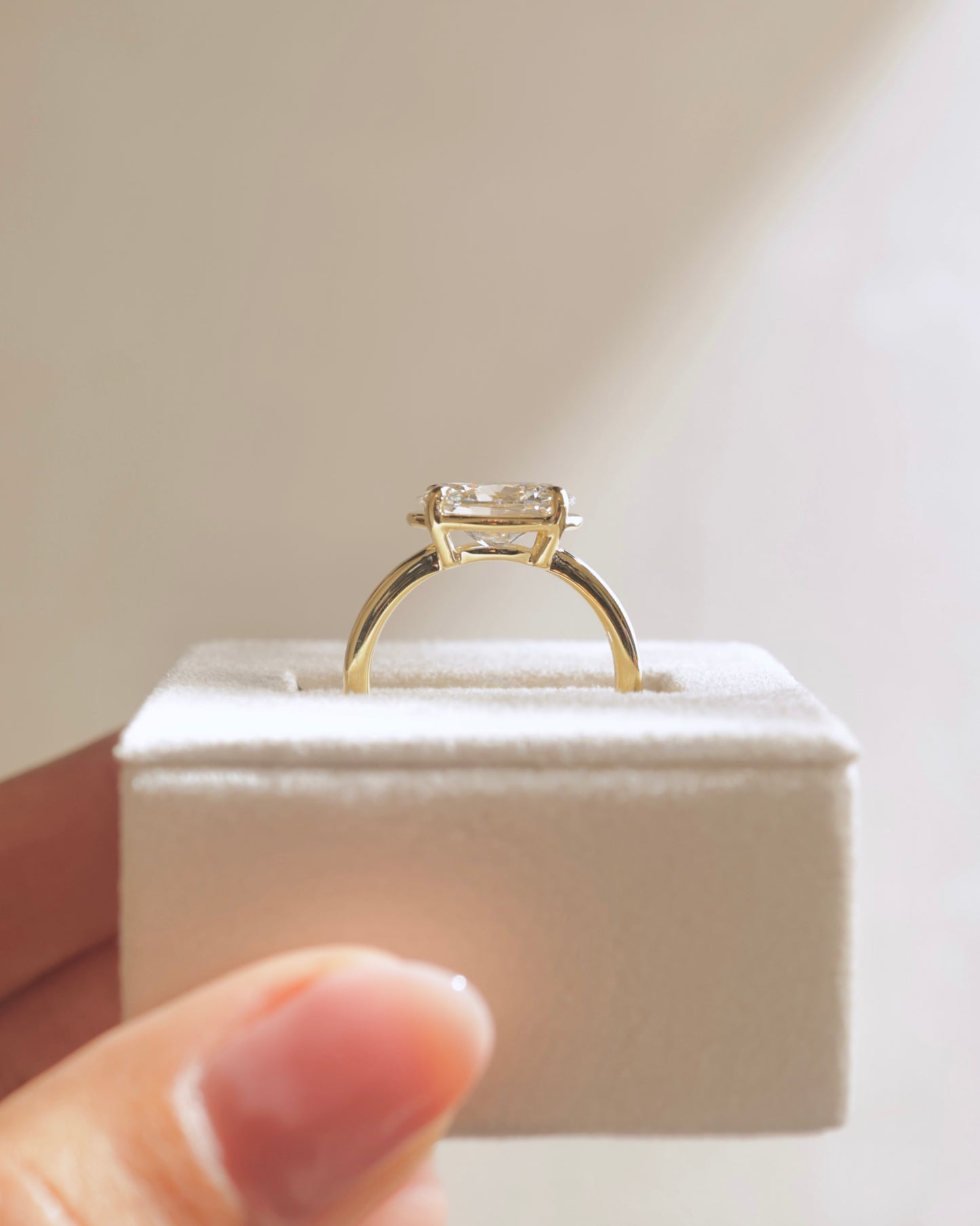 Arlo - Oval East West Claw Solitaire with Bezel Frame Engagement Ring - Platinum - Lifestyle