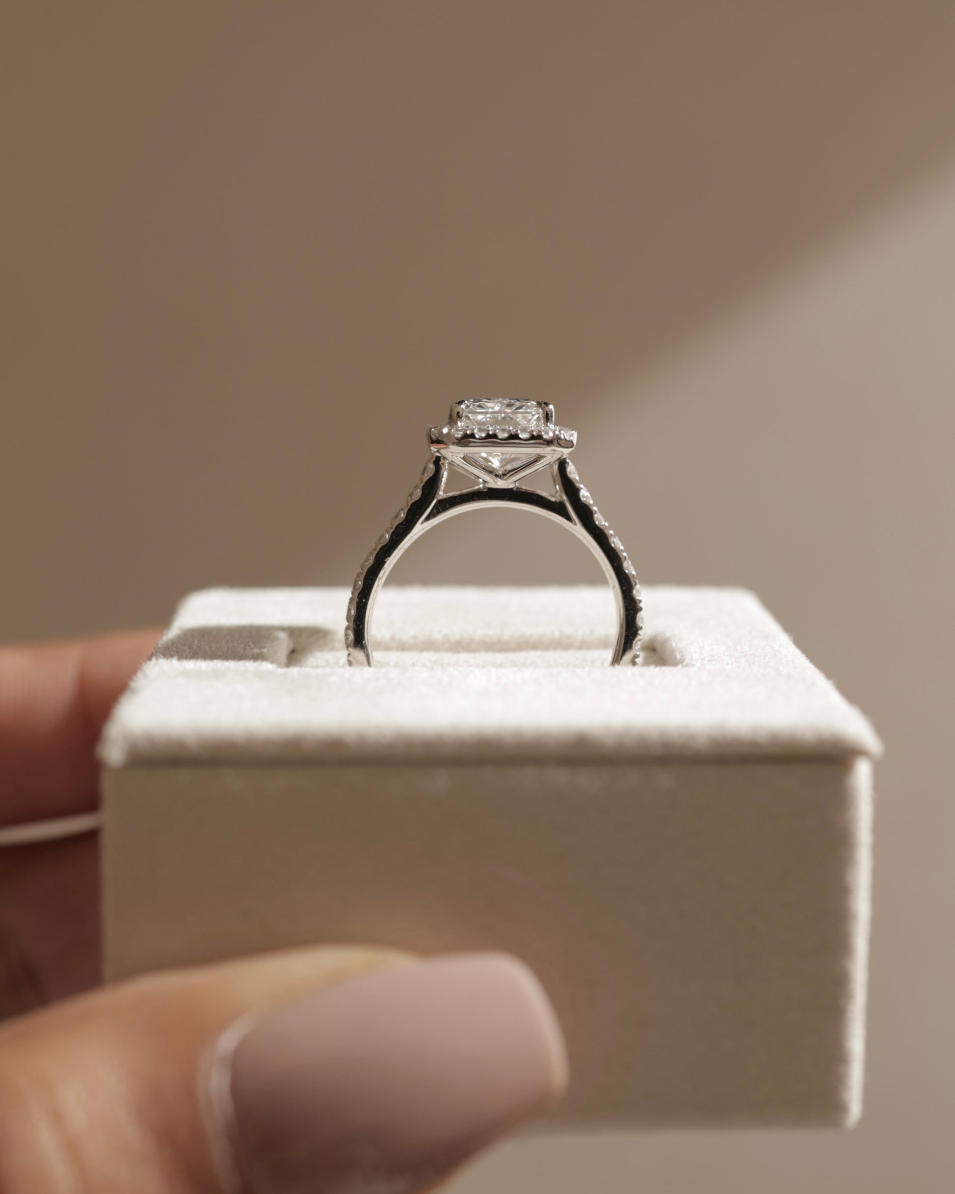 Clementine - Radiant Claw Solitaire with Halo and Pave Band and Cathedral High Setting Engagement Ring - Platinum - Lifestyle