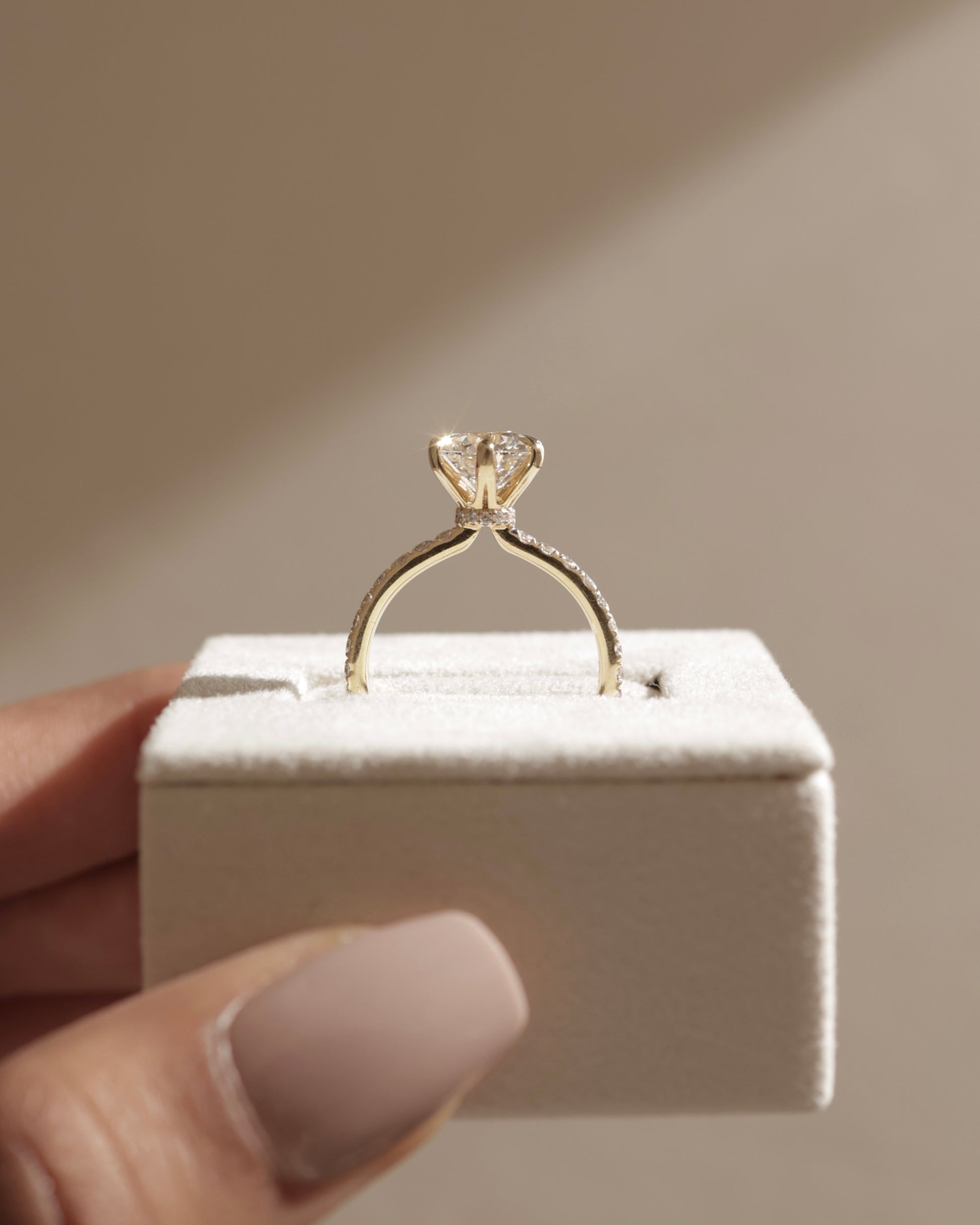 Holly - Round Claw Solitaire with Pave Band and Pave Collar Engagement Ring - Platinum - Lifestyle