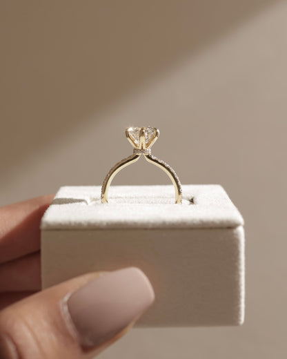 Holly - Round Claw Solitaire with Pave Band and Pave Collar Engagement Ring - Platinum