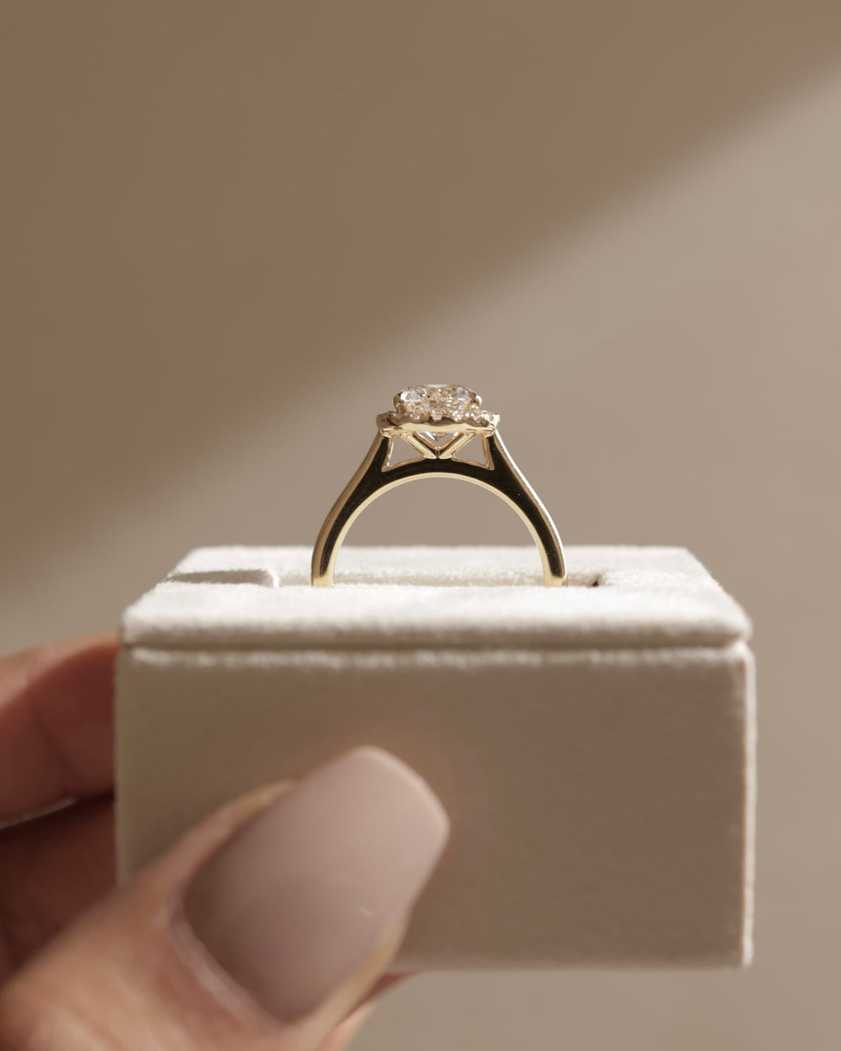Nola - Round Claw Solitaire with Halo and Cathedral High Setting Engagement Ring - White Gold
