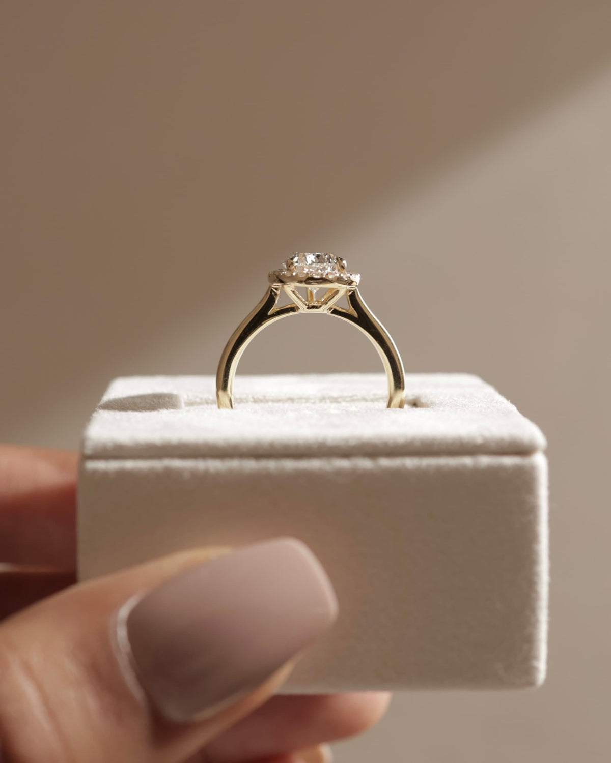 Viola - Pear Claw Solitaire with Halo and Cathedral High Setting Engagement Ring - White Gold
