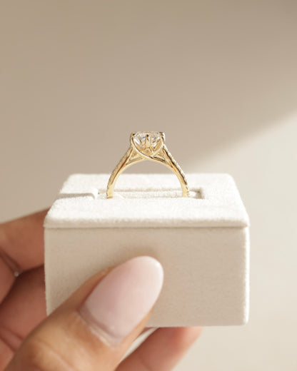 Briar - Round Claw Solitaire with Trellis Gallery, Pave Band and Cathedral Low Setting Engagement Ring - Platinum