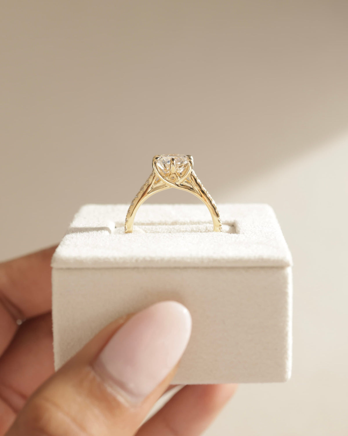 Briar - Round Claw Solitaire with Trellis Gallery, Pave Band and Cathedral Low Setting Engagement Ring - Rose Gold