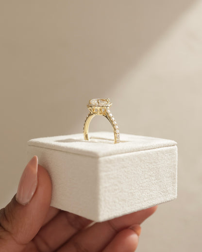 Madeline - Pear Claw Solitaire with Halo and Pave Band and Cathedral High Setting Engagement Ring - Yellow Gold