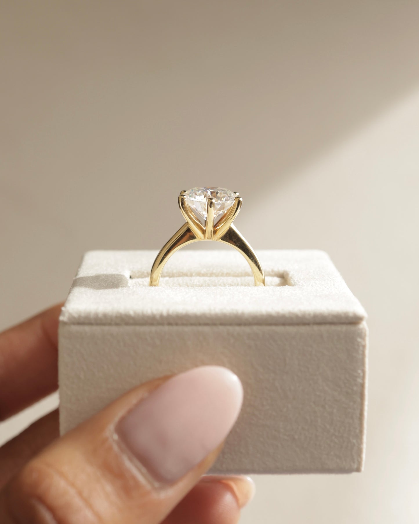 Jacqueline - Round Claw Solitaire with Solid Cathedral Low Setting Engagement Ring - Platinum - Lifestyle