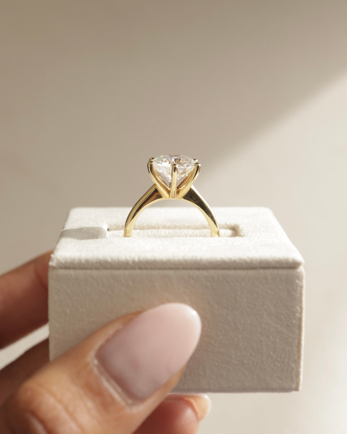Jacqueline - Round Claw Solitaire with Solid Cathedral Low Setting Engagement Ring - Yellow Gold