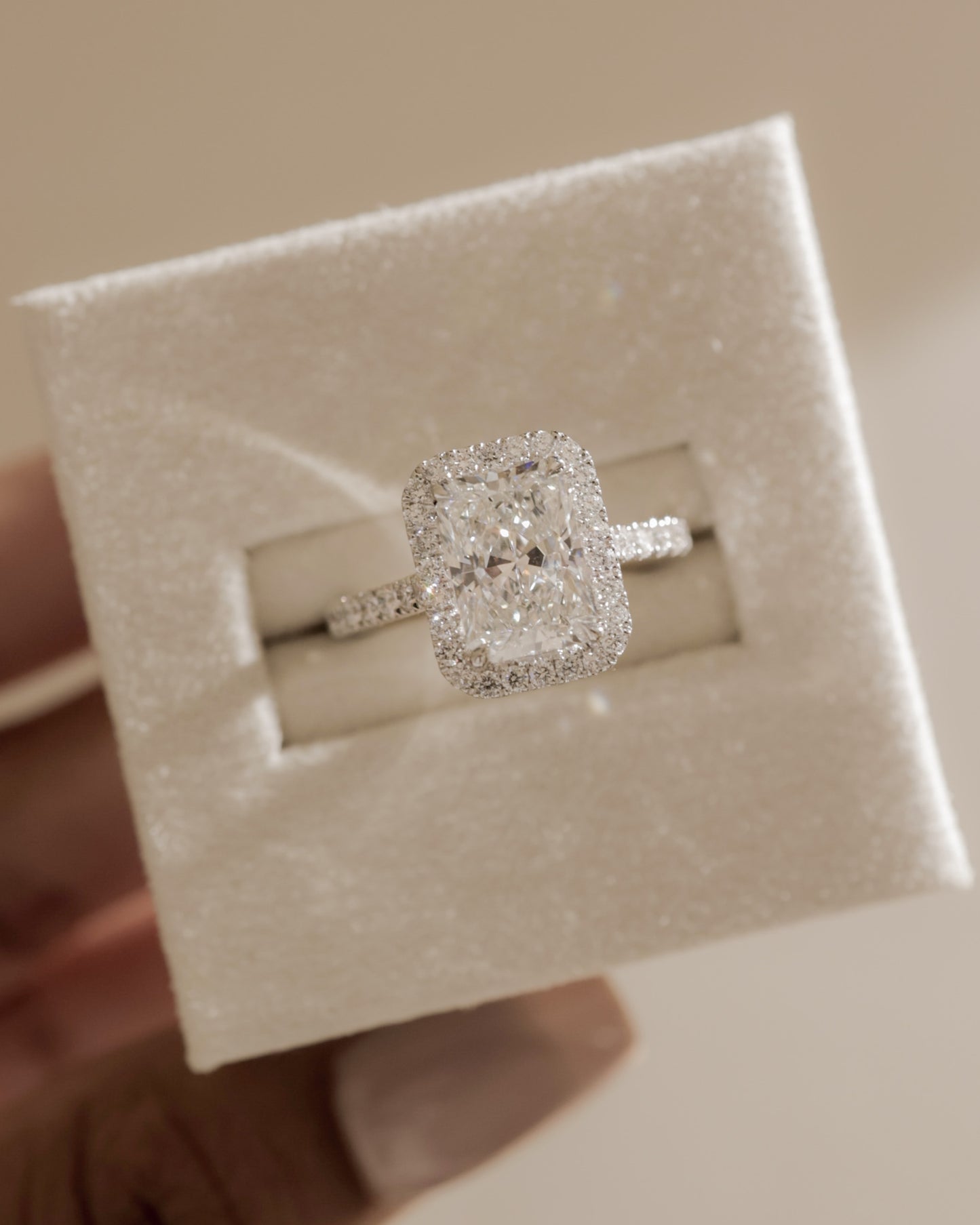 Clementine - Radiant Claw Solitaire with Halo and Pave Band and Cathedral High Setting Engagement Ring - Platinum - Lifestyle