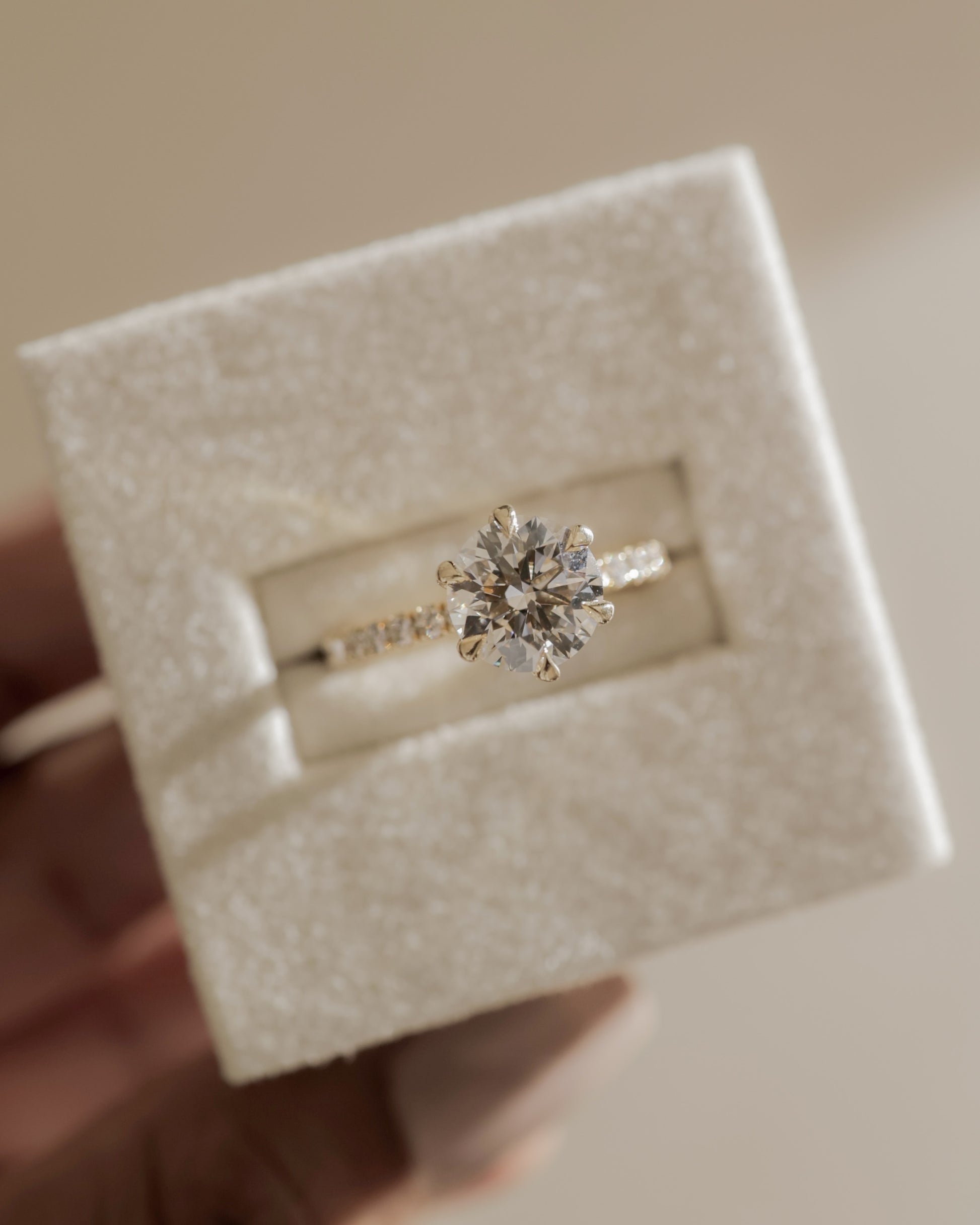 Holly - Round Claw Solitaire with Pave Band and Pave Collar Engagement Ring - Platinum - Lifestyle
