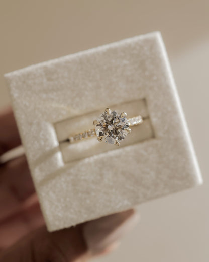 Holly - Round Claw Solitaire with Pave Band and Pave Collar Engagement Ring - Platinum
