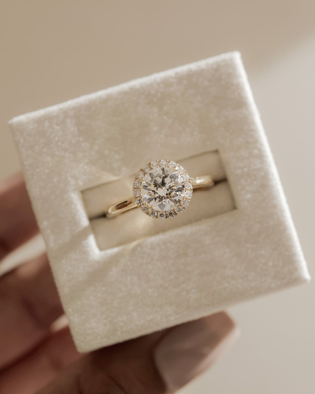 Nola - Round Claw Solitaire with Halo and Cathedral High Setting Engagement Ring - Rose Gold