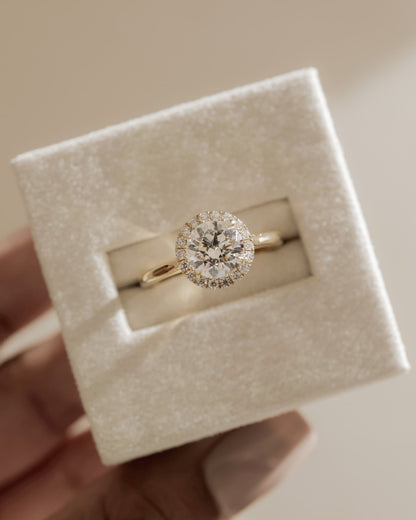 Nola - Round Claw Solitaire with Halo and Cathedral High Setting Engagement Ring - White Gold