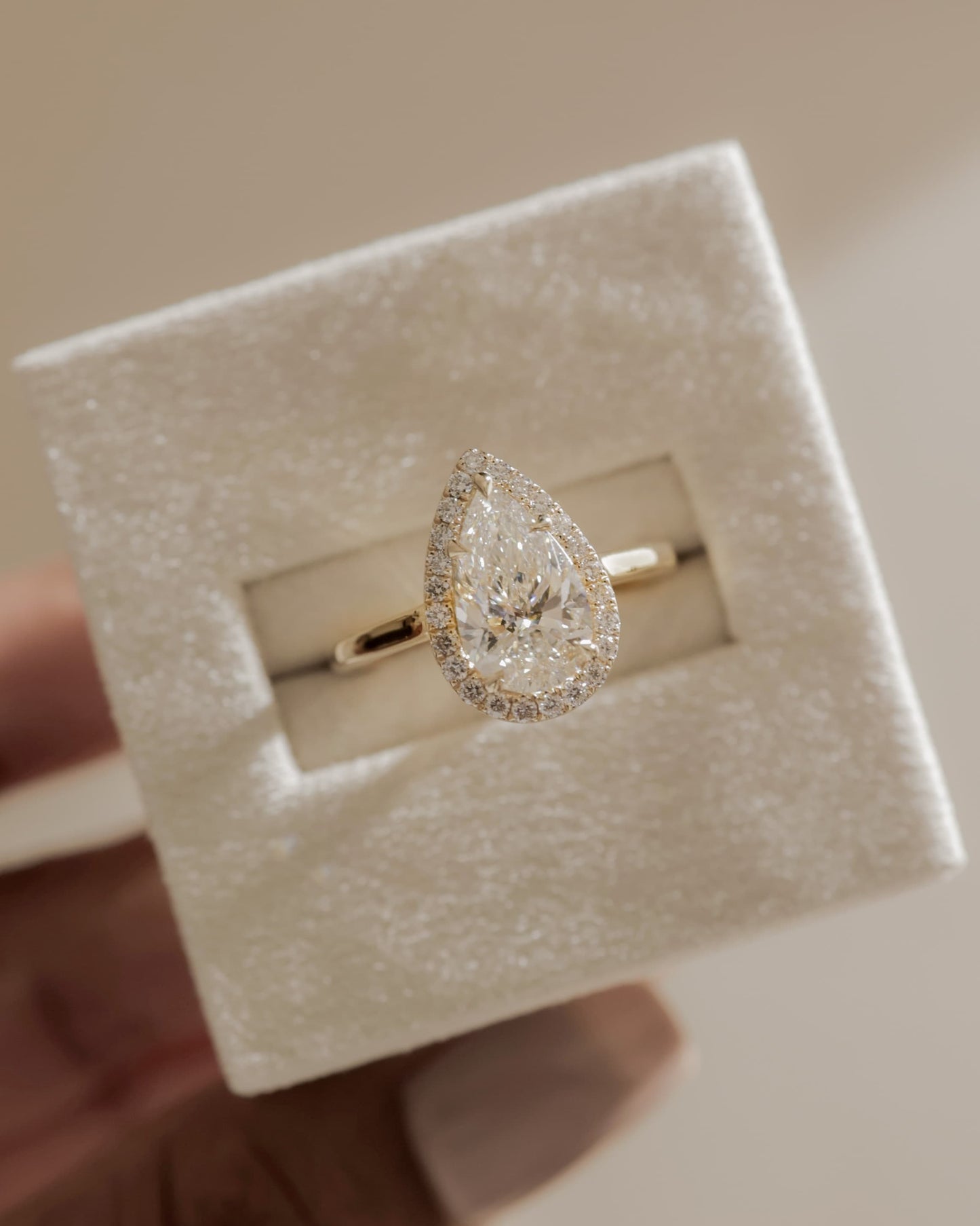 Viola - Pear Claw Solitaire with Halo and Cathedral High Setting Engagement Ring - Yellow Gold