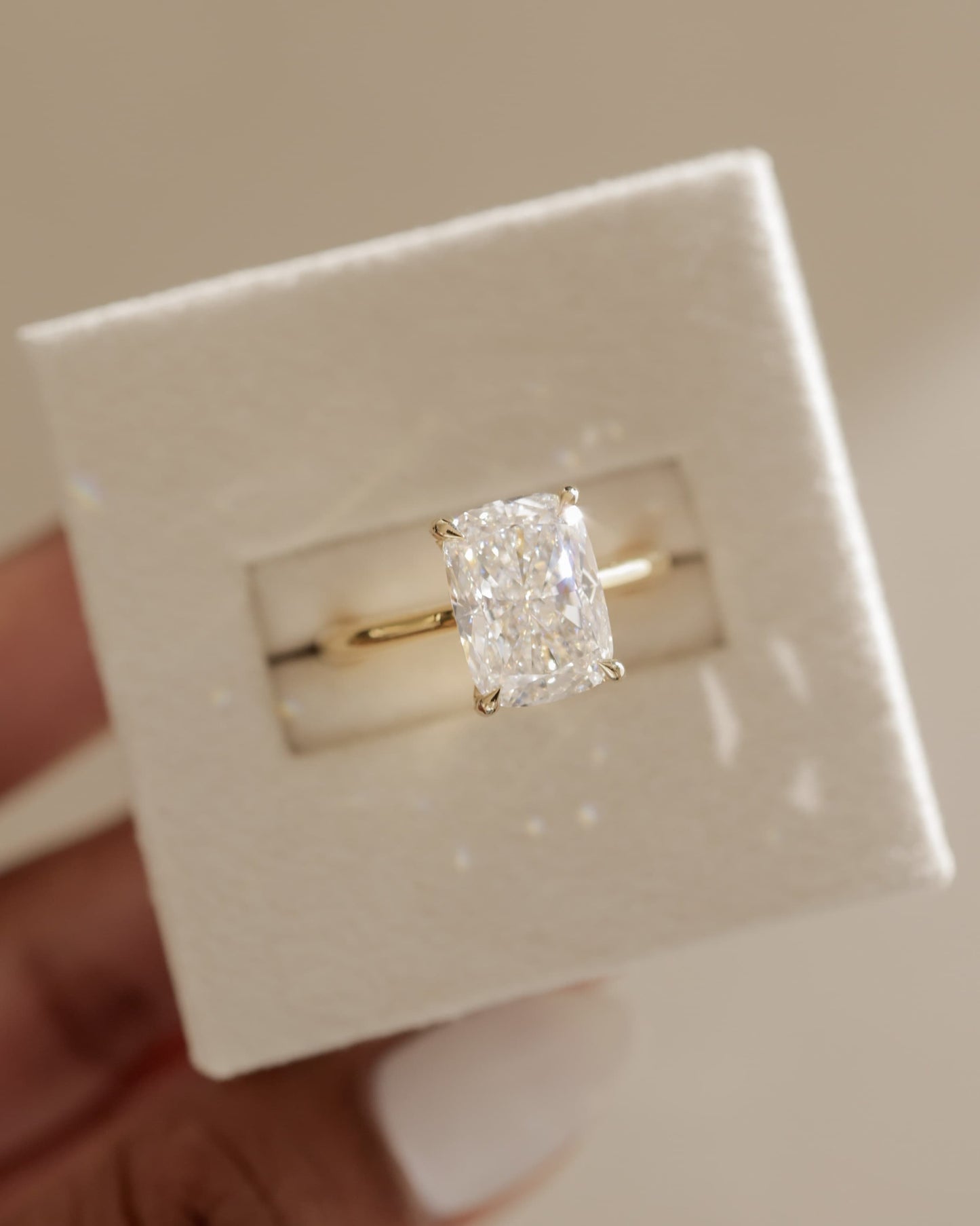 Wendy - Elongated Cushion Claw Solitaire with Hidden Halo, Tapered Band and Cathedral High Setting Engagement Ring - White Gold