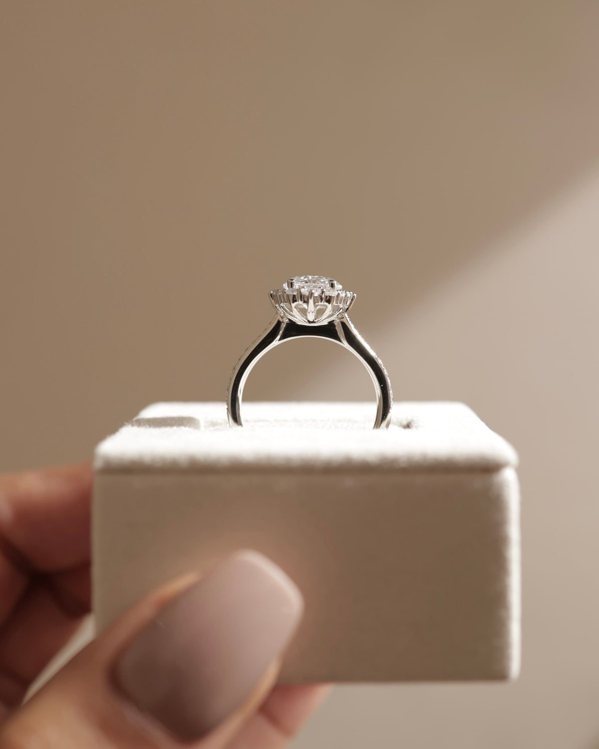 Jessica - Round Claw Solitaire with Graduating Halo and Bead Set Micropave and Tapered Band Engagement Ring - Yellow Gold
