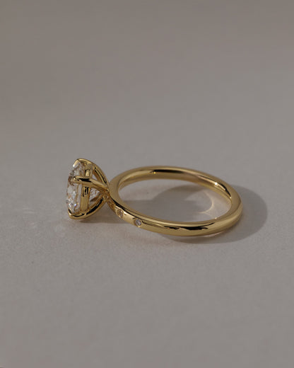 Nekija - Round Claw Solitaire with Inset Round Accent Stones Engagement Ring - Platinum