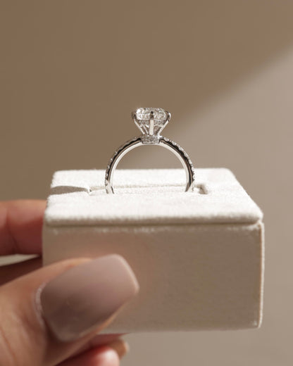 Siobhan - Round Claw Solitaire with Hidden Halo, Pave Collar and Pave Band Engagement Ring - Yellow Gold