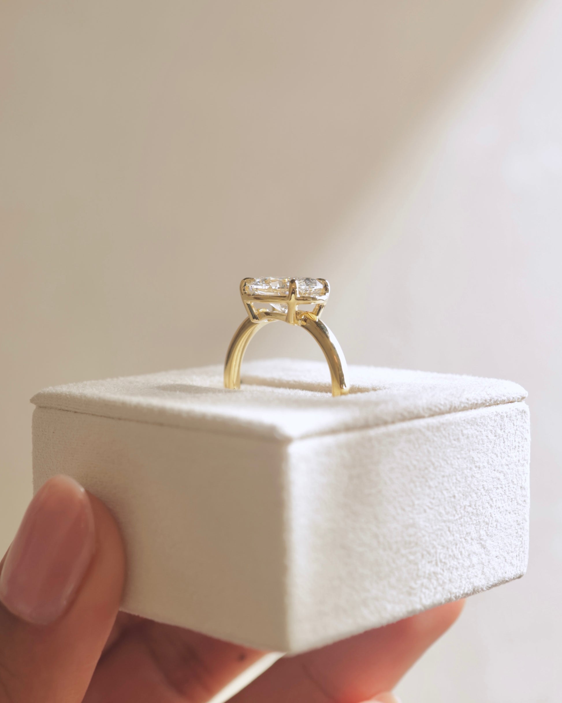 Arlo - Oval East West Claw Solitaire with Bezel Frame Engagement Ring - Platinum - Lifestyle