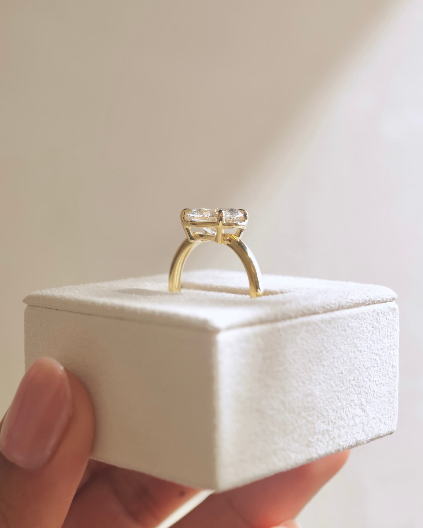 Arlo - Oval East West Claw Solitaire with Bezel Frame Engagement Ring - White Gold