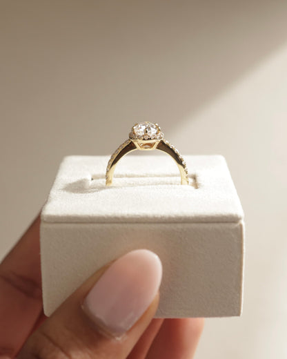 Kirsten - Pear Claw Solitaire with Pave Band and Halo and Low Setting Engagement Ring - Yellow Gold