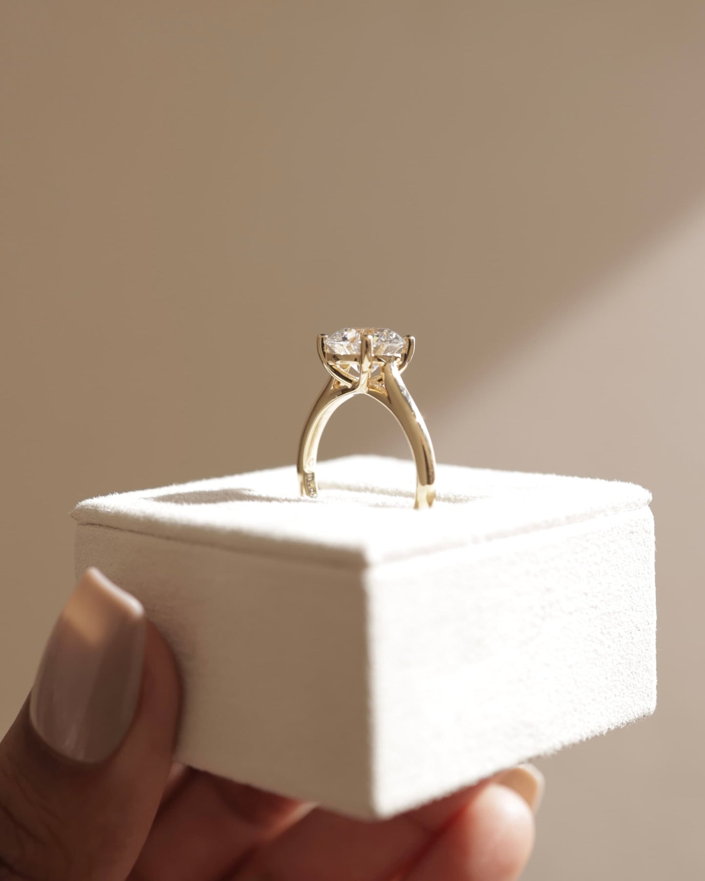 Noelle - Round Claw Solitaire with Trellis Gallery and Cathedral Low Setting Engagement Ring - Rose Gold