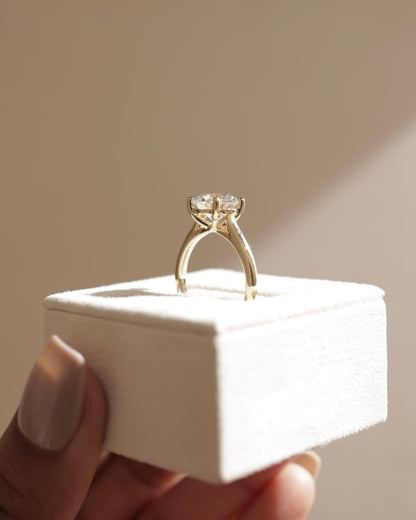 Noelle - Round Claw Solitaire with Trellis Gallery and Cathedral Low Setting Engagement Ring - Rose Gold