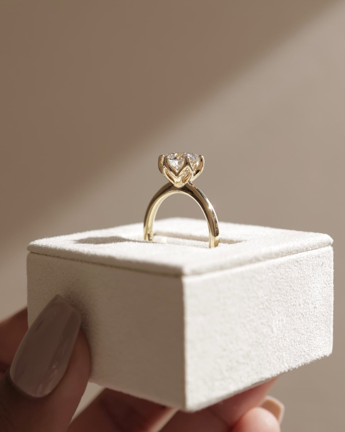 Tessa - Round Claw Solitaire with Petal Gallery and Tapered Band Engagement Ring - White Gold