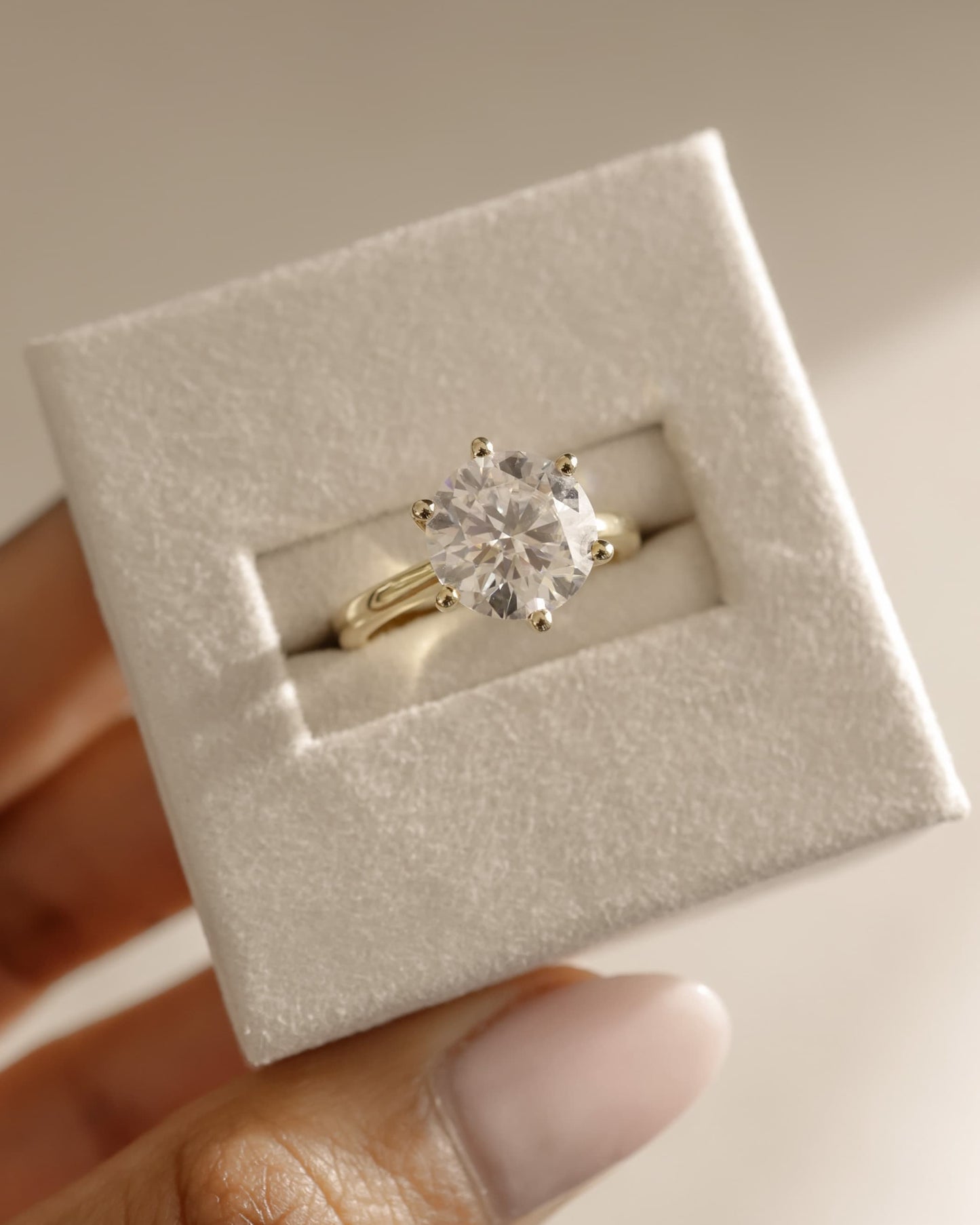 Jacqueline - Round Claw Solitaire with Solid Cathedral Low Setting Engagement Ring - Yellow Gold