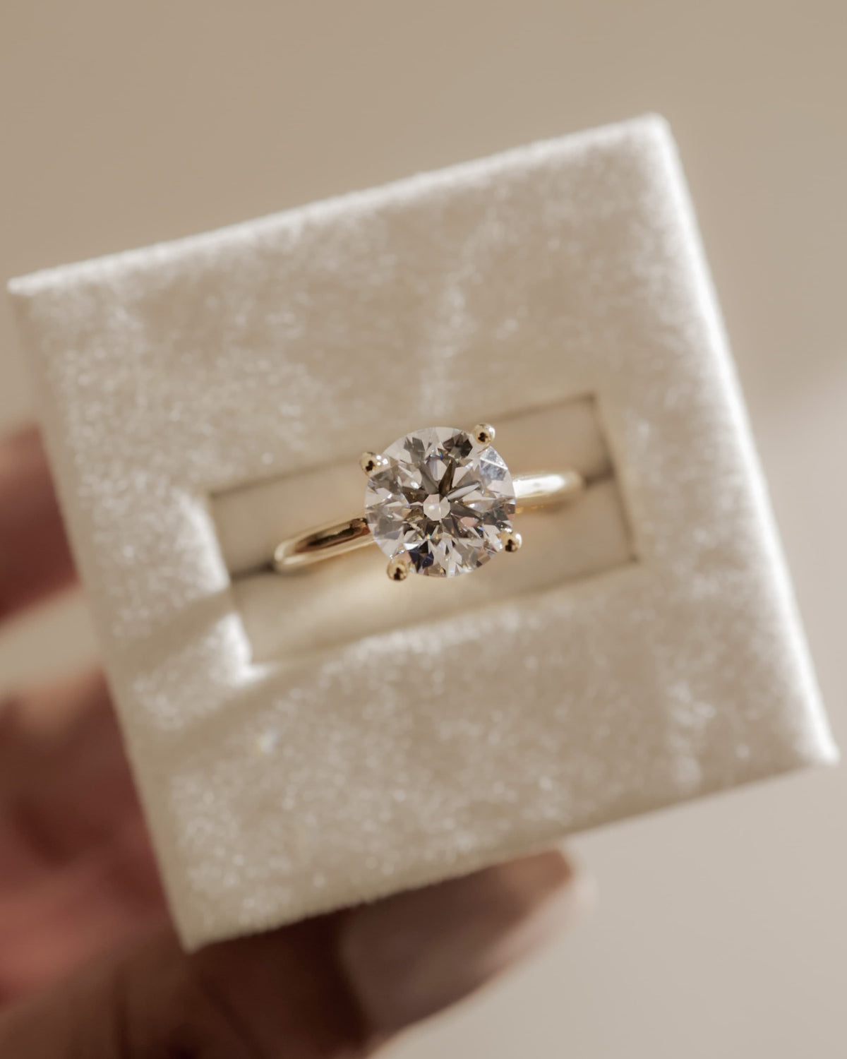 Noelle - Round Claw Solitaire with Trellis Gallery and Cathedral Low Setting Engagement Ring - Rose Gold