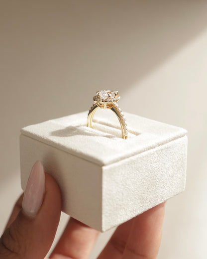 Kirsten - Pear Claw Solitaire with Pave Band and Halo and Low Setting Engagement Ring - Platinum