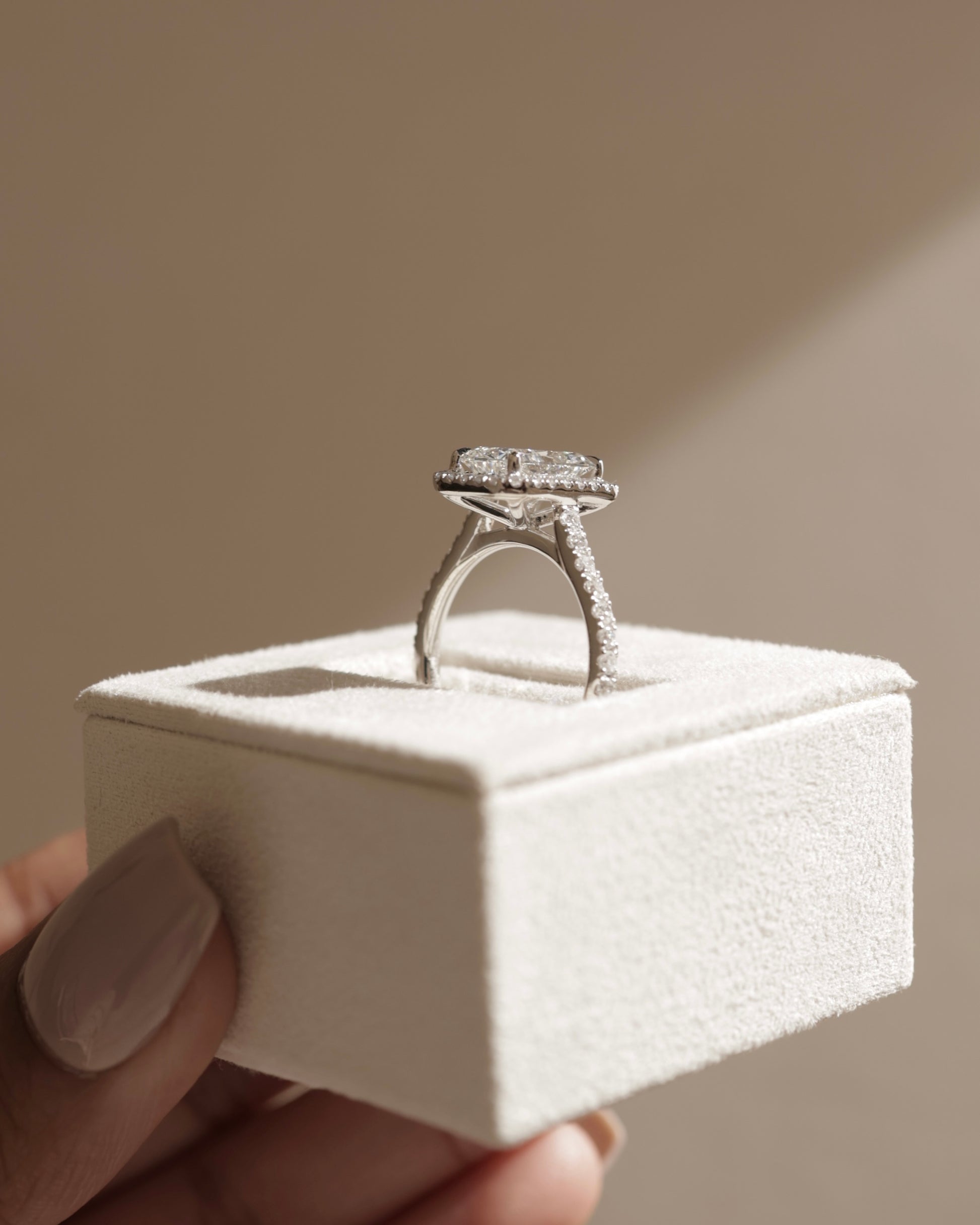 Clementine - Radiant Claw Solitaire with Halo and Pave Band and Cathedral High Setting Engagement Ring - Platinum - Lifestyle