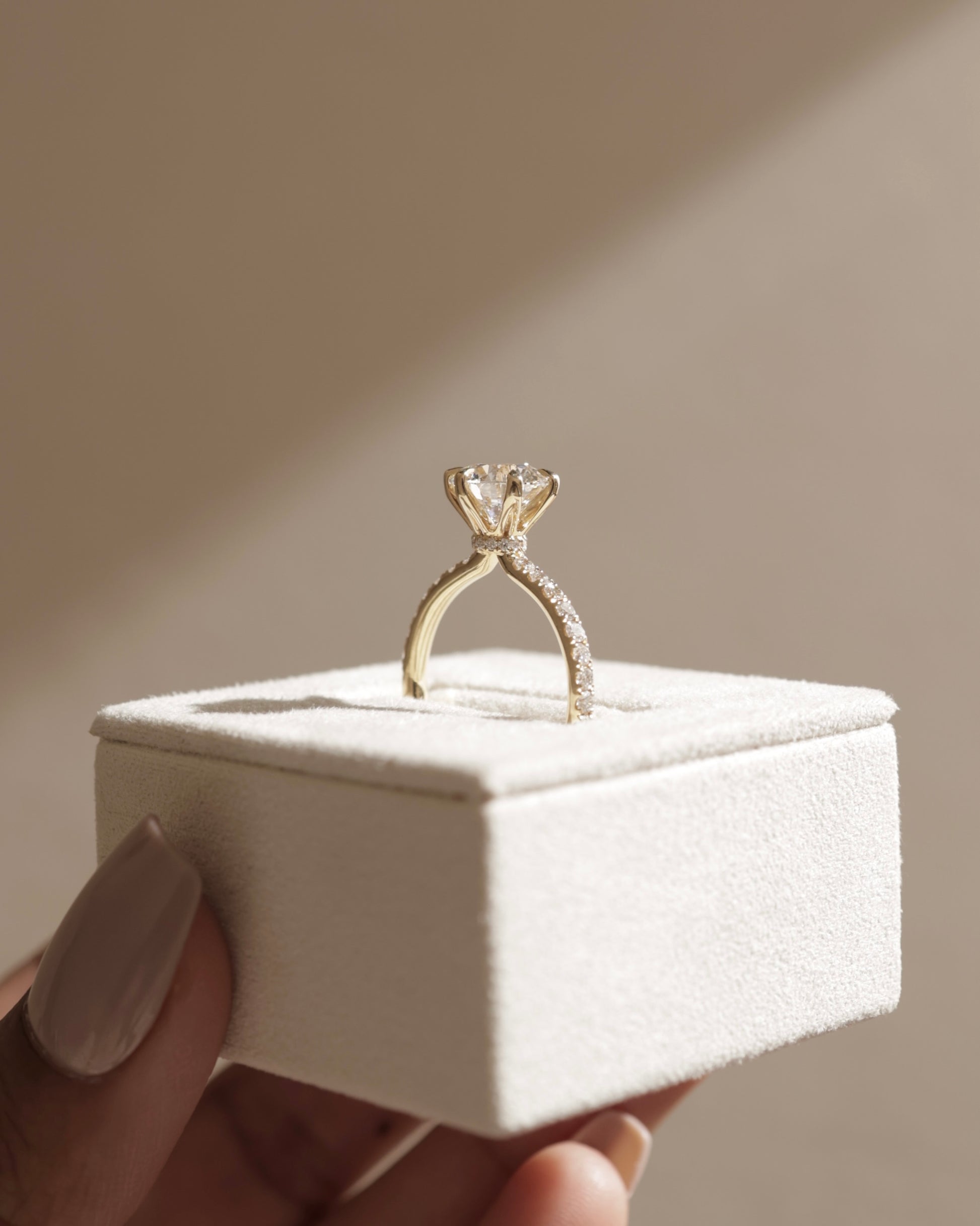 Holly - Round Claw Solitaire with Pave Band and Pave Collar Engagement Ring - Platinum - Lifestyle
