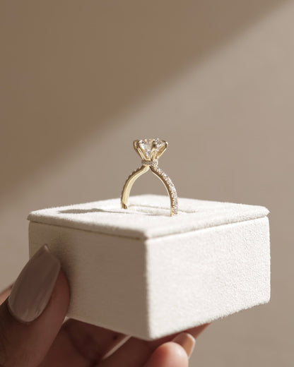 Holly - Round Claw Solitaire with Pave Band and Pave Collar Engagement Ring - Platinum
