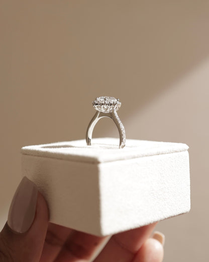 Jessica - Round Claw Solitaire with Graduating Halo and Bead Set Micropave and Tapered Band Engagement Ring - Yellow Gold