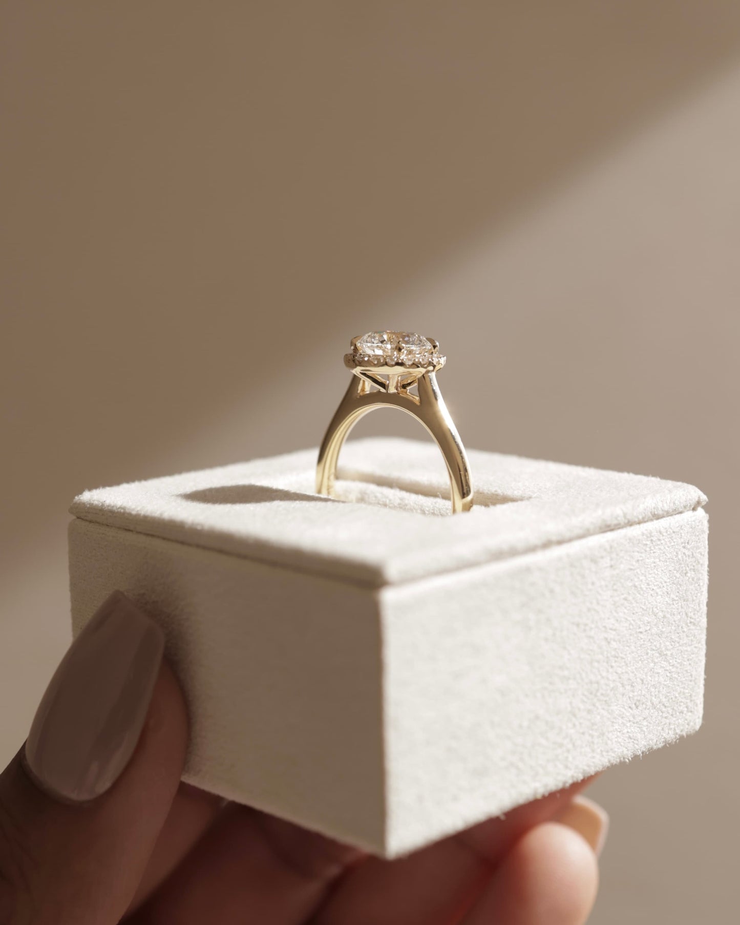 Nola - Round Claw Solitaire with Halo and Cathedral High Setting Engagement Ring - Platinum