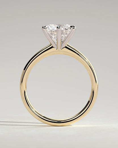 Daniela - Round Claw Solitaire with Solid Cathedral High Setting Engagement Ring - Yellow Two-Tone